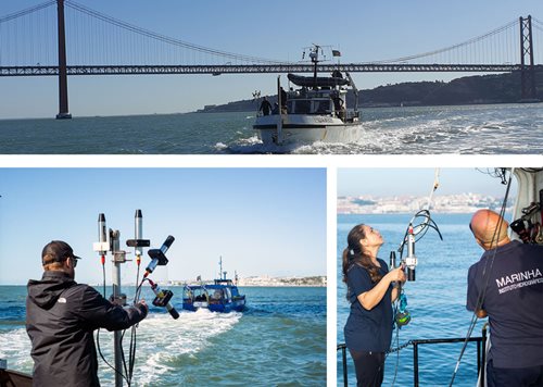 Field work in the Tagus. Photos by Federico Ienna, Ana Brito and Steve.